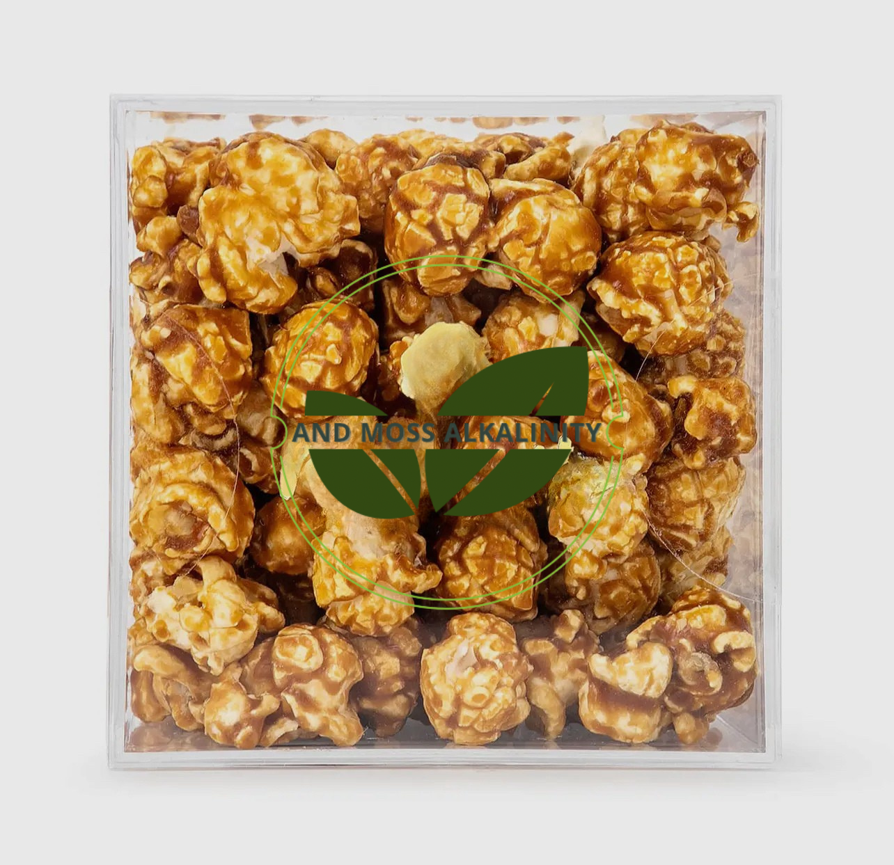 Gourmet Popcorn