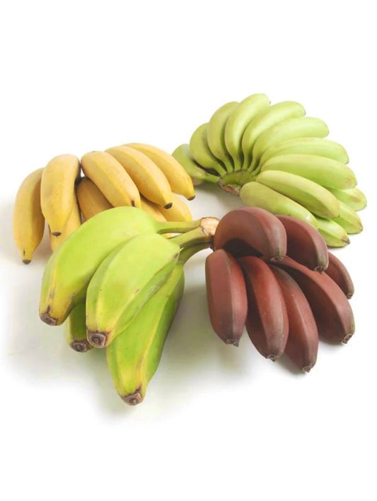 REAL Bananas